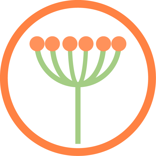 SAC1102-p31-Health-insets-Allergy-iStock-pollen